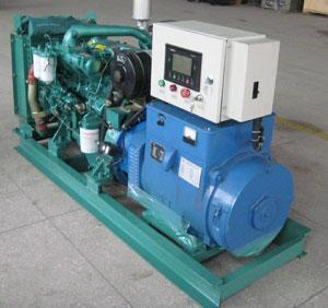 武定发电机出租